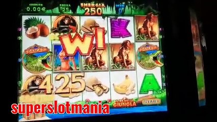 slot da bar jolly roger il re della giungla