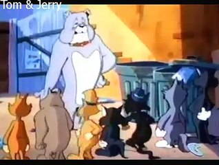 Tom & Jerry Kids 104b Puss n' Pups [dr_toons]