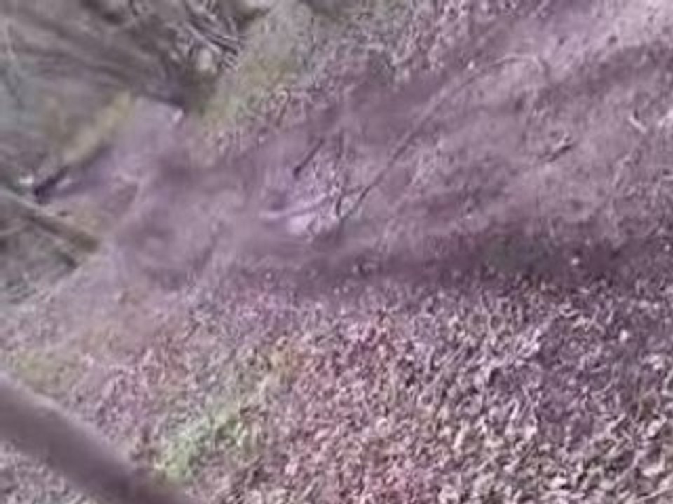 450YFZ!! OK mitmit.....