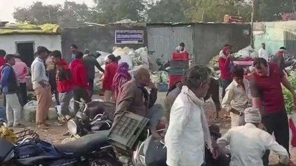 सस्ते दामों में मिल रही सब्जियां, मटर अदरक के आसमान छू रहे भाव..