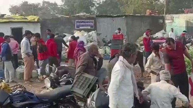 सस्ते दामों में मिल रही सब्जियां, मटर अदरक के आसमान छू रहे भाव..