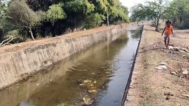 इस शहर की झील का पानी बहने लगा व्यर्थ, सिंचाई विभाग की फूली सांसें...पढ़े पूरी खबर