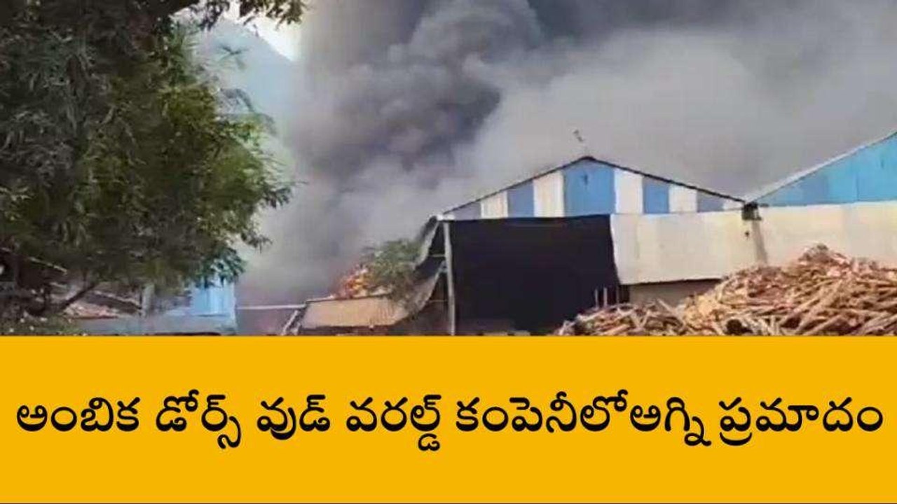 అనకాపల్లి జిల్లా: అంబికా కంపెనీలో అగ్ని ప్రమాదం... ఎగసిపడుతున్న మంటలు