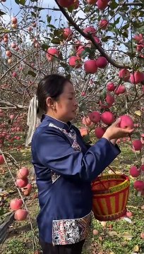 Today I went to the apple orchard and brought home a lot of apples and then I cooked some delicious food