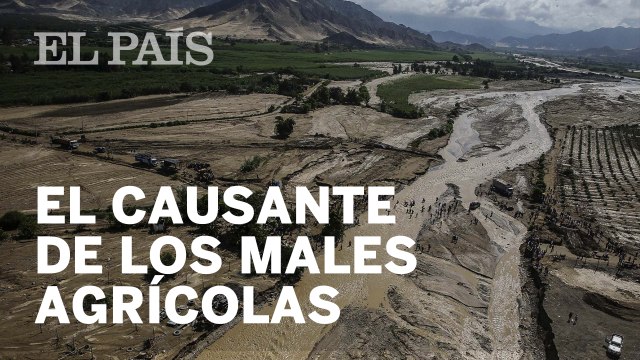 El causante de los males agrícolas y ganaderos