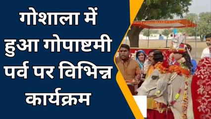 चूरू: गोपाष्टमी पर गायों की पूजा, जानिए क्या है मान्यता?