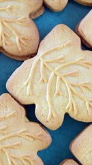 Savor the Flavor Natural Sweeteners for a Tastier You