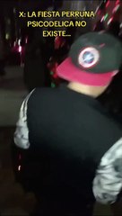 Joven sorprende al organizar fiesta psicodélica a su perro y todos sus invitados