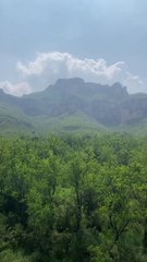 Today I went to the mountains and brought some wood from which I made cooking utensils.