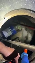 Cadela bebé resgatada de rede de esgotos no Texas. Veja o momento