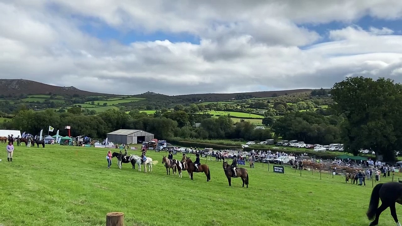 Widecombe Fair