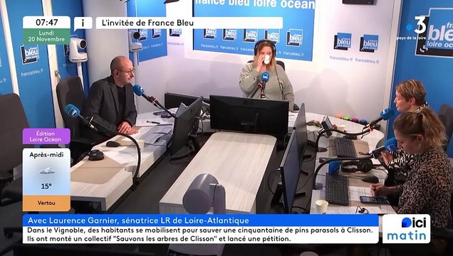 Laurence Garnier, sénatrice les républicains.