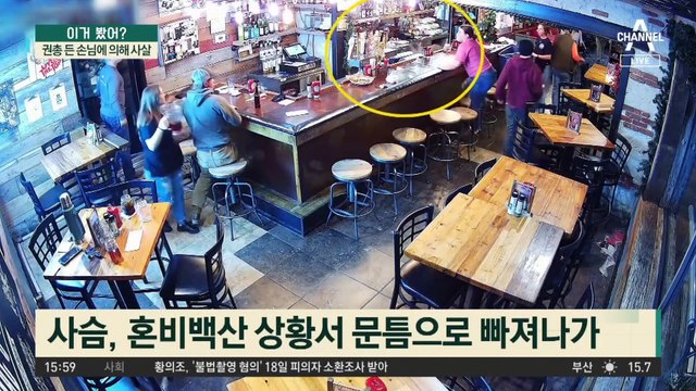 식당 창문 깨고 난입한 사슴…권총 든 손님이 사살