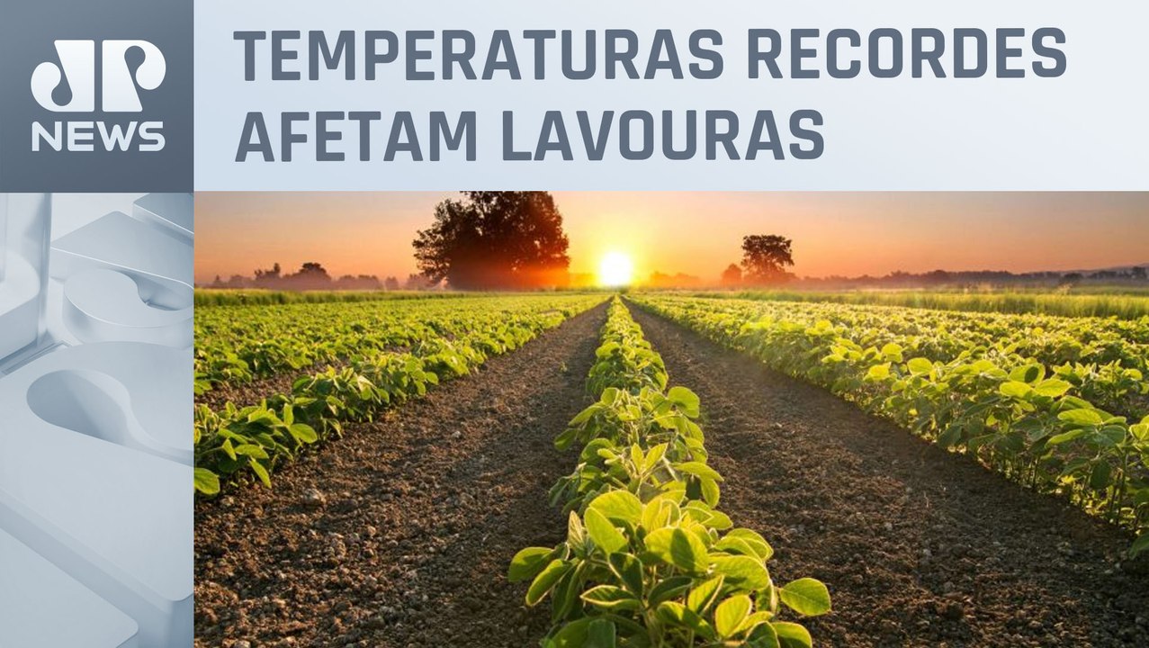 Mudanças climáticas podem afetar agronegócio