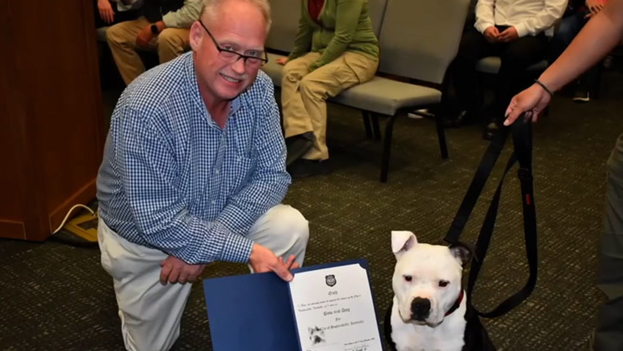 Rescue dog sworn into Kentucky police department after ‘stealing hearts of staff’