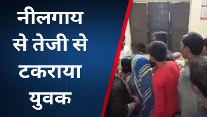 श्रावस्ती: सड़क हादसे में बाइक सवार की मौत, नीलगाय से टकराया था युवक