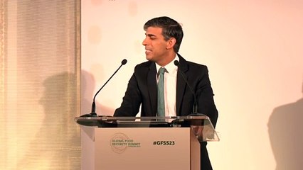 PM sets out UK's plans to tackle food security at summit