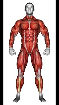 Full Body Barbell Blast #fullbodyworkout #barbellexercises #strengthtraining #fitnessgoals #shorts