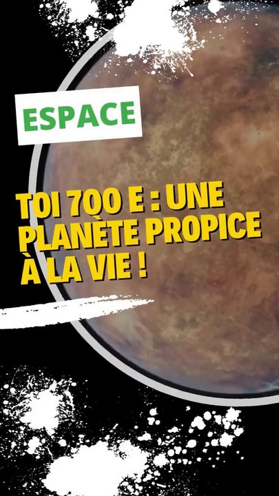 TOI 700 e : une planète propice à la vie !