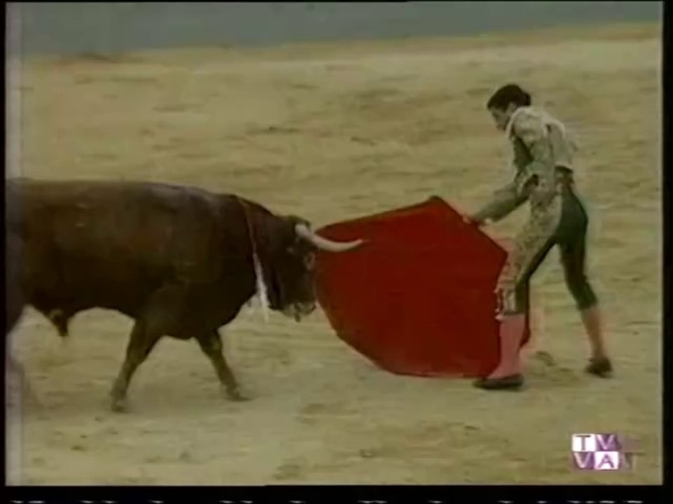 TARDE DE TOROS-JUAN MORA-MANUEL CABALLERO-MANOLO SANCHEZ-MEDINA DEL CAMPO-6.09.98