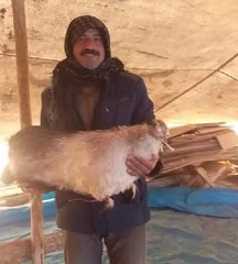 Çoban Yıldırım Çarpması Sonucu Hayatını Kaybetti