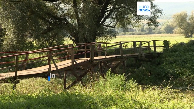 Cala in modo drastico il numero dei migranti tra Slovacchia e Ungheria: tra maltempo e più controlli