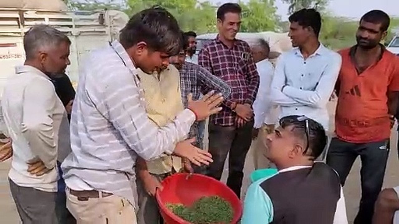 मूण्डवा में पानमैथी की खरीद करने से व्यापारियों ने किया किनारा