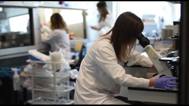 Fondazione Cariplo e Fondazione Veronesi: insieme per la ricerca