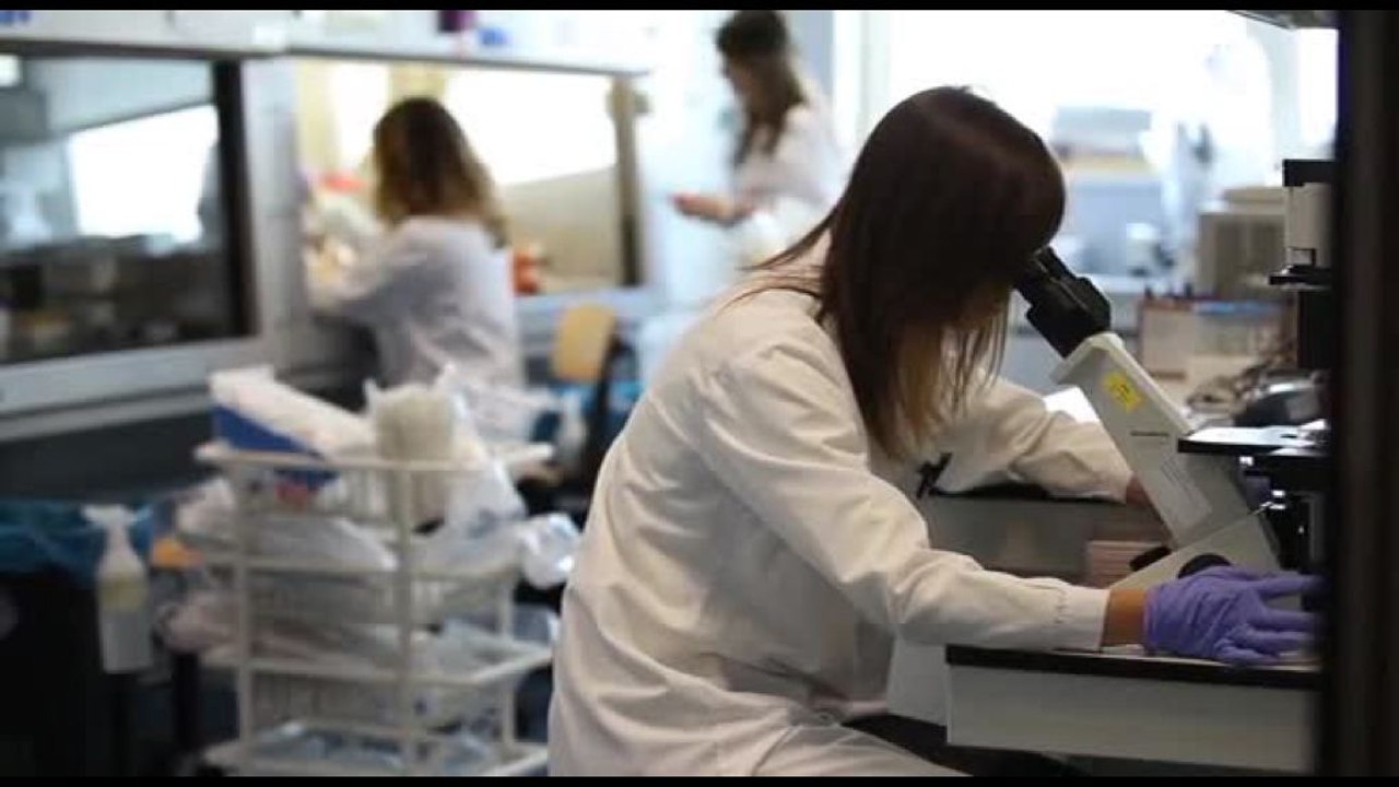 Fondazione Cariplo e Fondazione Veronesi: insieme per la ricerca