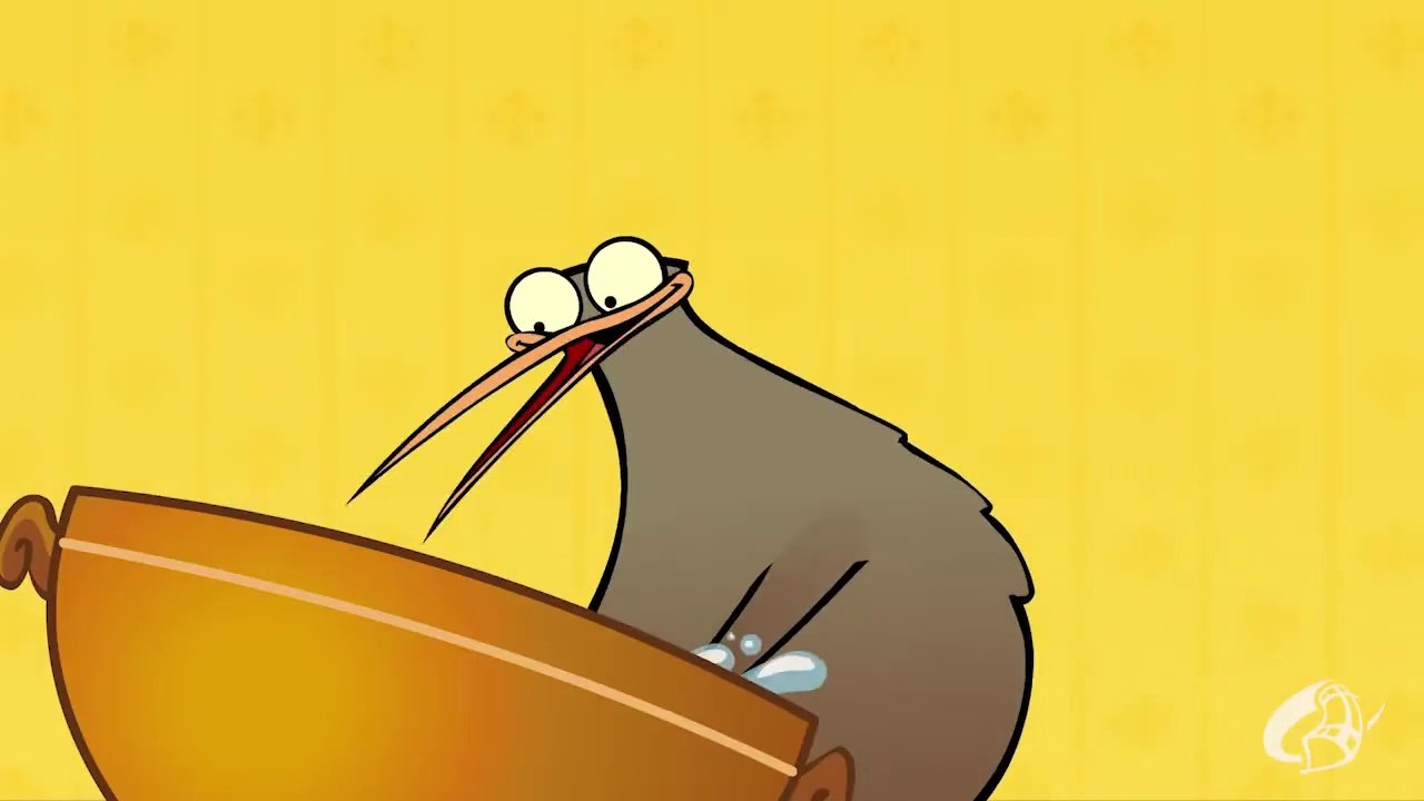 Le ricette di Arturo Kiwi Stagione 1[720]