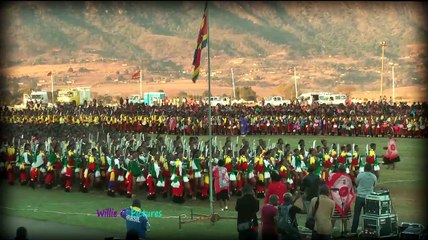 Reed Dance _clip- 095