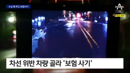 수십 명 동원…보험사기도 ‘기업형’