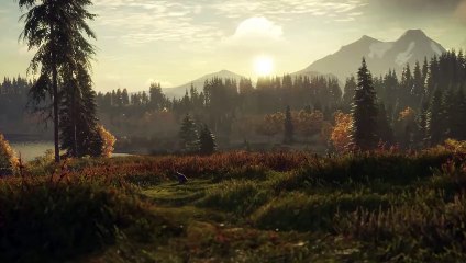 TheHunter Call of the Wild - Official Labrador Retriever DLC Release Date Announcement Trailer