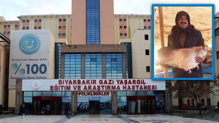 Diyarbakır'da yıldırımın isabet ettiği çoban öldü