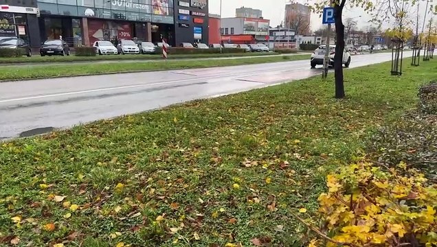 Tarnów - moda na drzewa w mieście, Tarnów posadzi nowe drzewa