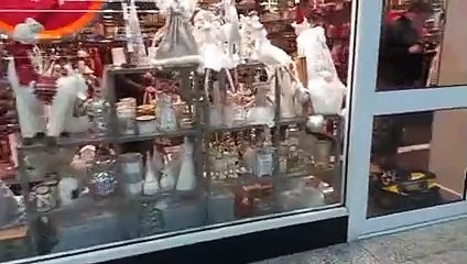 My Vlog For Harrow 20/11/2023(12)