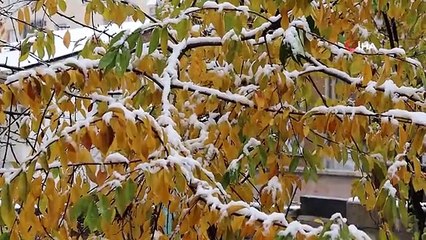 Oltu'ya mevsimin ilk karı yağdı