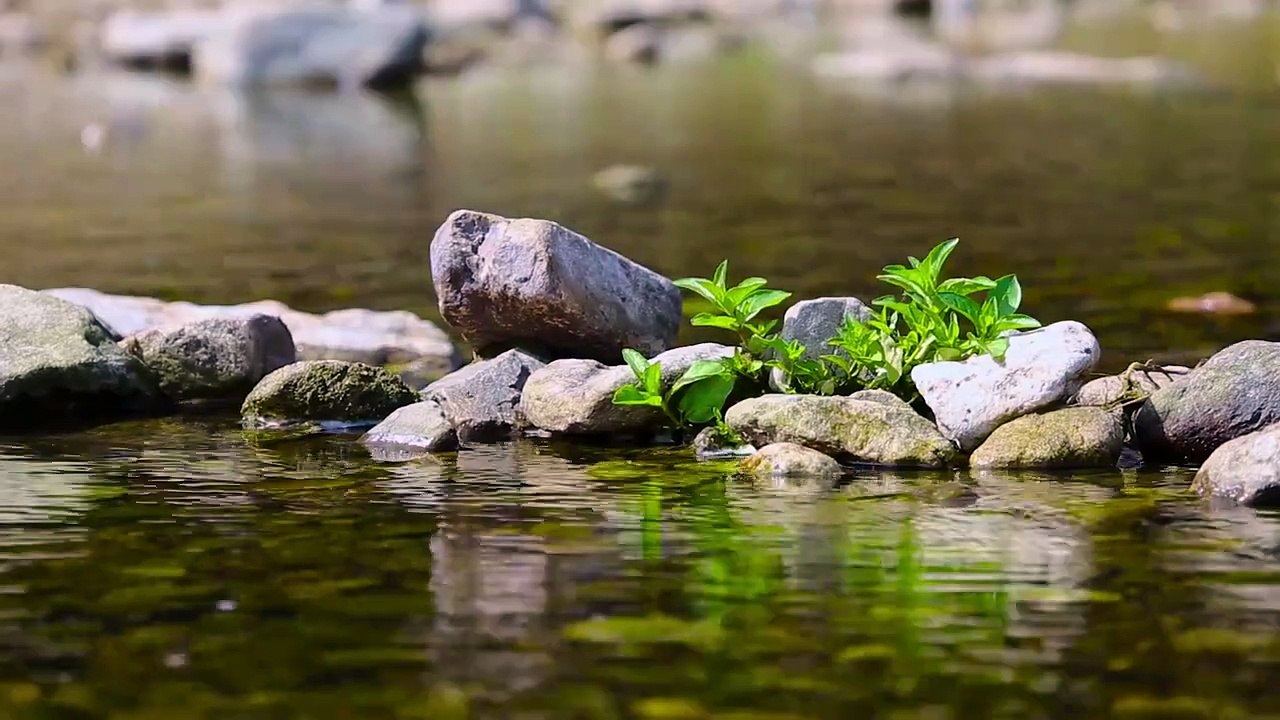 Binaural Beats - Sleep Music - Relaxation - Meditation - Yoga Music