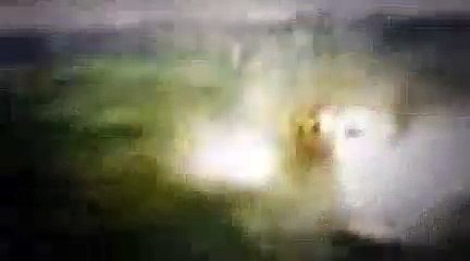 The Dog Whisperer Season 3 Episode 17 Bodhi, Maggie & Molly, And Bojo (Terrible Twosome)