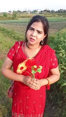 পাট বাগানে এসে বিপদে পরলো মেয়েটি