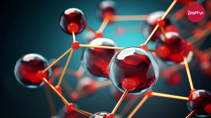 ফিলিস্তিনে গণহত্যা - আমরা যা করতে পারি (HD) anynews24