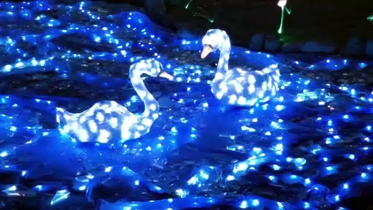 Lucine di Natale a Leggiuno: un villaggio illuminato da 700mila led