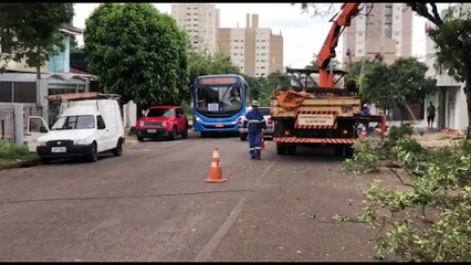 Durante manutenção na rede elétrica, fios ficam suspensos e caminhão derruba poste ao enroscar em cabos