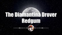 The Diamantina Drover - Redgum ｜ #lyrics #lyricsvideo #singalong