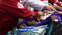 Los bebés evacuados del hospital Al Shifa en Gaza llegan a Egipto