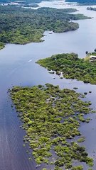 Première Exploration de l'Amazonie : Aventure dans la Jungle Inconnue !