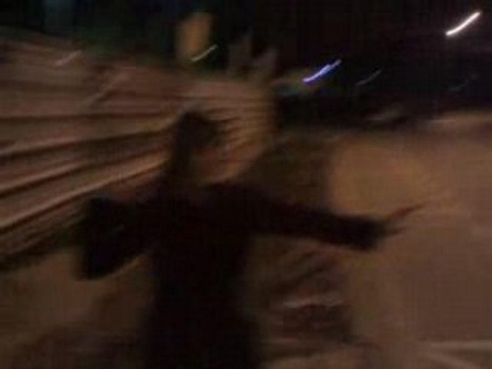 29032008003