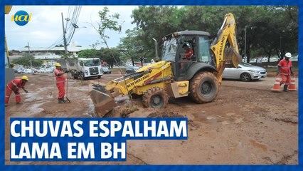 Lama destrói canteiros revitalizados na região Norte de BH
