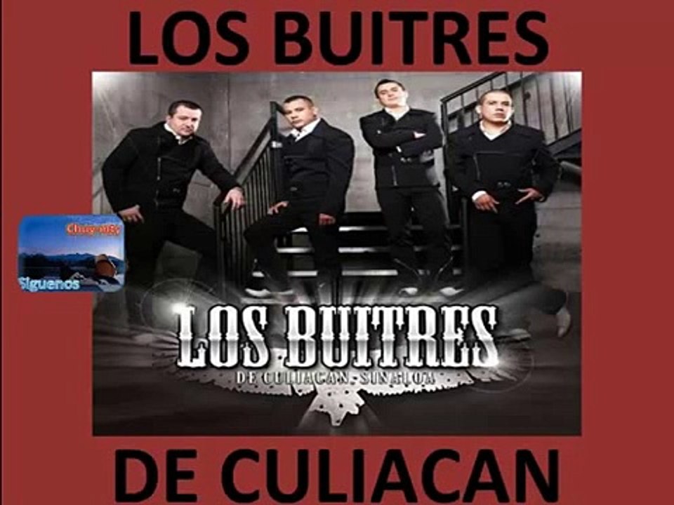Los Buitres de Culiacan 20 Corridos Puro fierro...