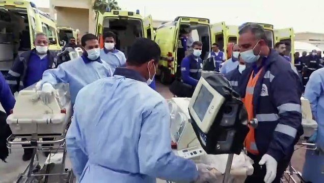 Llegan a Egipto 28 bebés prematuros evacuados del hospital Al Shifa de Gaza
